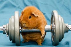 开云体育入口-欧陆战车陷南洋泥沼，马来西亚翻盘法国，安赛龙一拍入魂