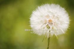 开云体育平台APP-球场锁死与国境线上，当姆巴佩的防守化为埃及伸向加纳的援手