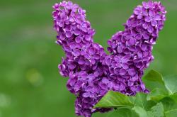 开云体育app-平行时空的哨声，当西甲德比之夜哈兰德改写了另一项历史