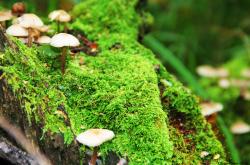 开云体育平台APP-方程式与数字的交汇点