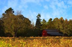 开云体育-马克西新王诞生，末节19分逆转勇士，他比肩的不仅是库里