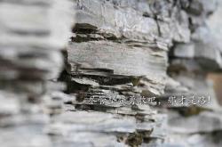 开云体育平台APP-关键先生塔图姆三分如雨，激活活塞击溃山西男篮