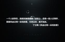 开云体育平台APP-橙衣风暴席卷布加勒斯特，荷兰式防守反击，铸就2026世界杯D组唯一经典