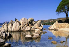 开云体育APP下载-澳网险胜联合杯，西西帕斯高光表现