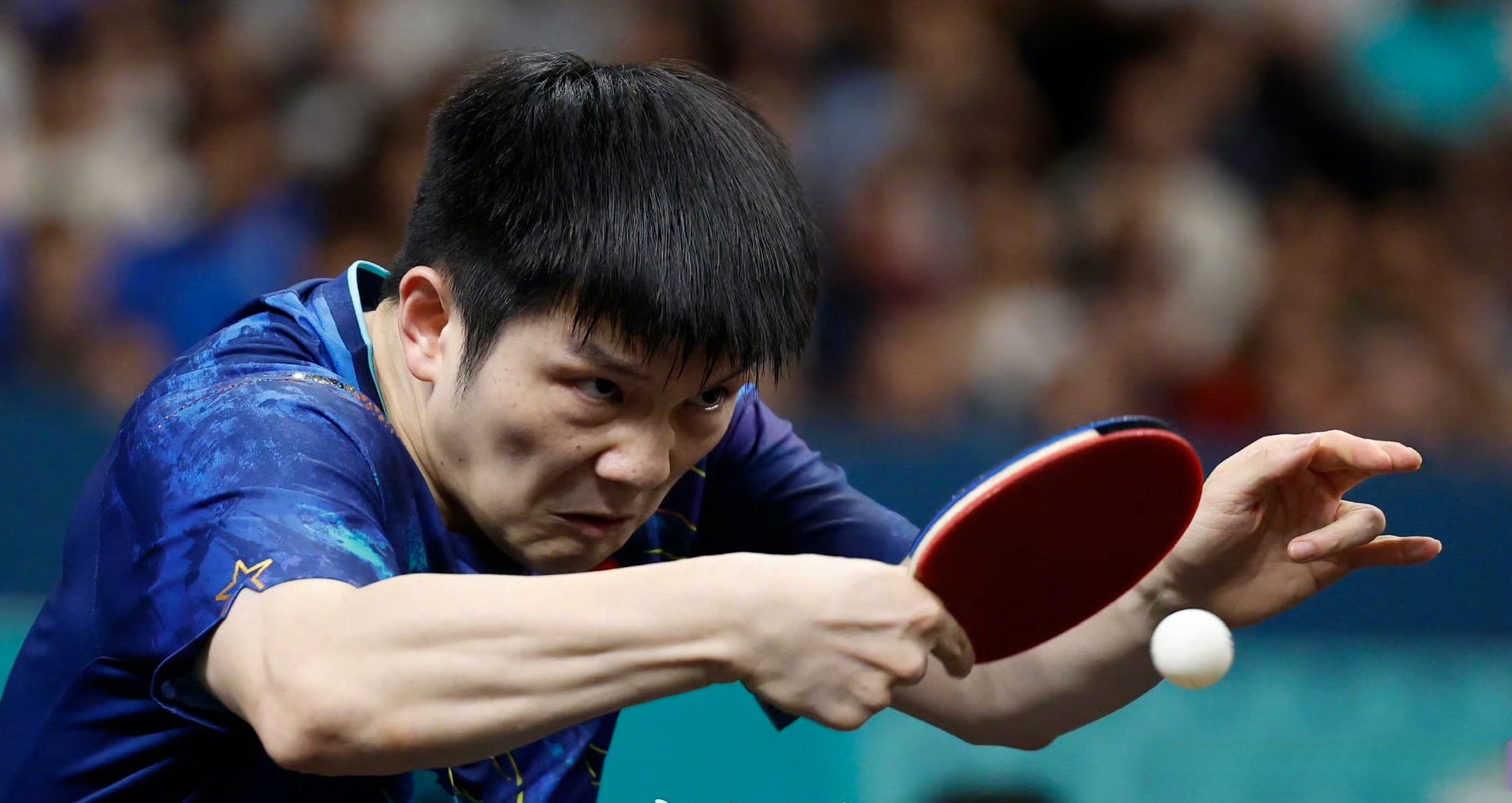 包含中国乒乓球队鏖战德国乒乓球队,樊振东打破历史纪录的词条 包含中国乒乓球队鏖战德国乒乓球队,樊振东打破历史纪录的词条