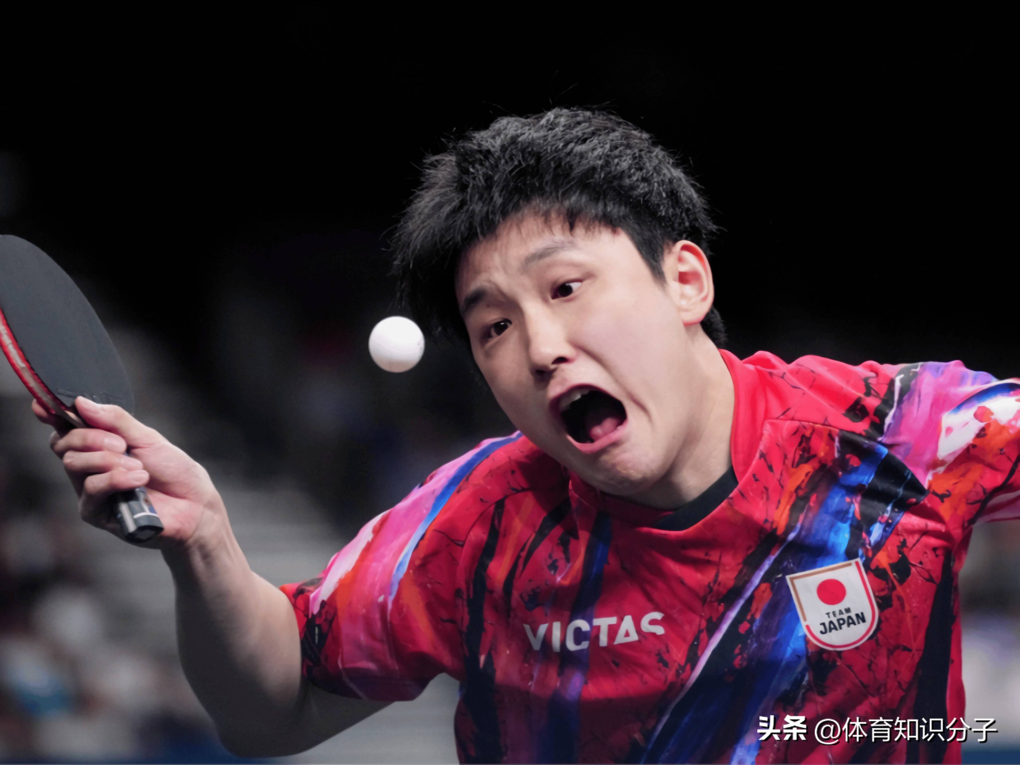 日本乒乓球队强势比利时乒乓球队,张本智和送出助攻 日本乒乓球队强势比利时乒乓球队,张本智和送出助攻