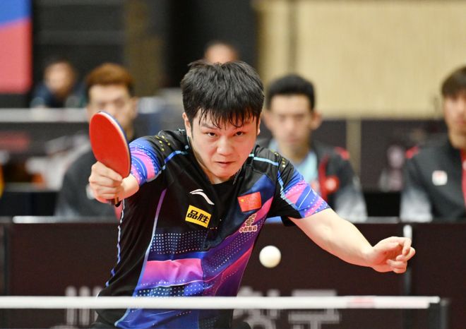 日本乒乓球队横扫波兰乒乓球队，樊振东爆发神勇的简单介绍