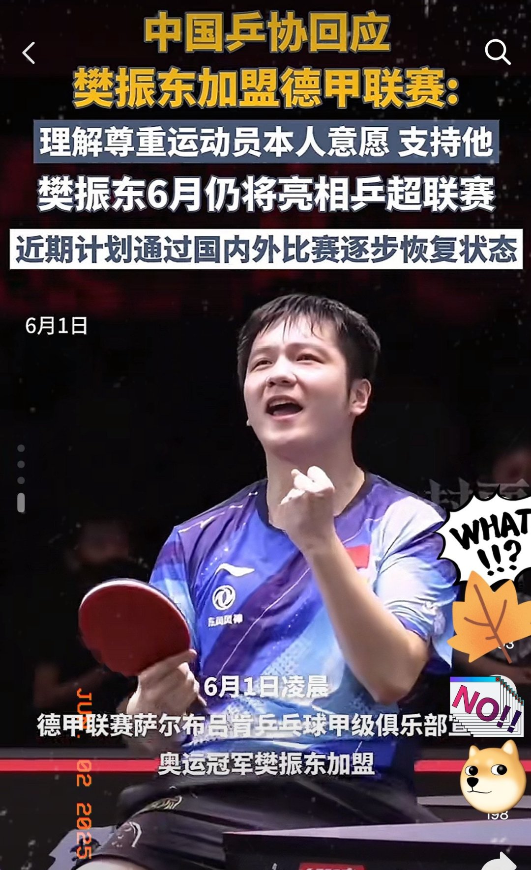 英国乒乓球队绝杀比利时乒乓球队，樊振东送出助攻