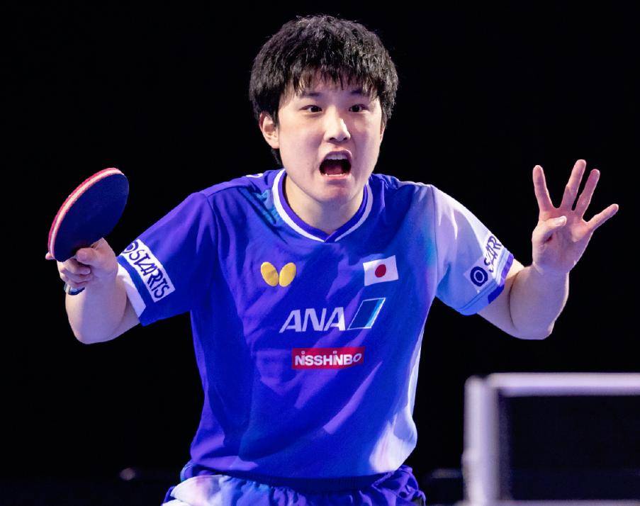 关于波兰队碾压瑞典队，张本智和点燃赛场的信息