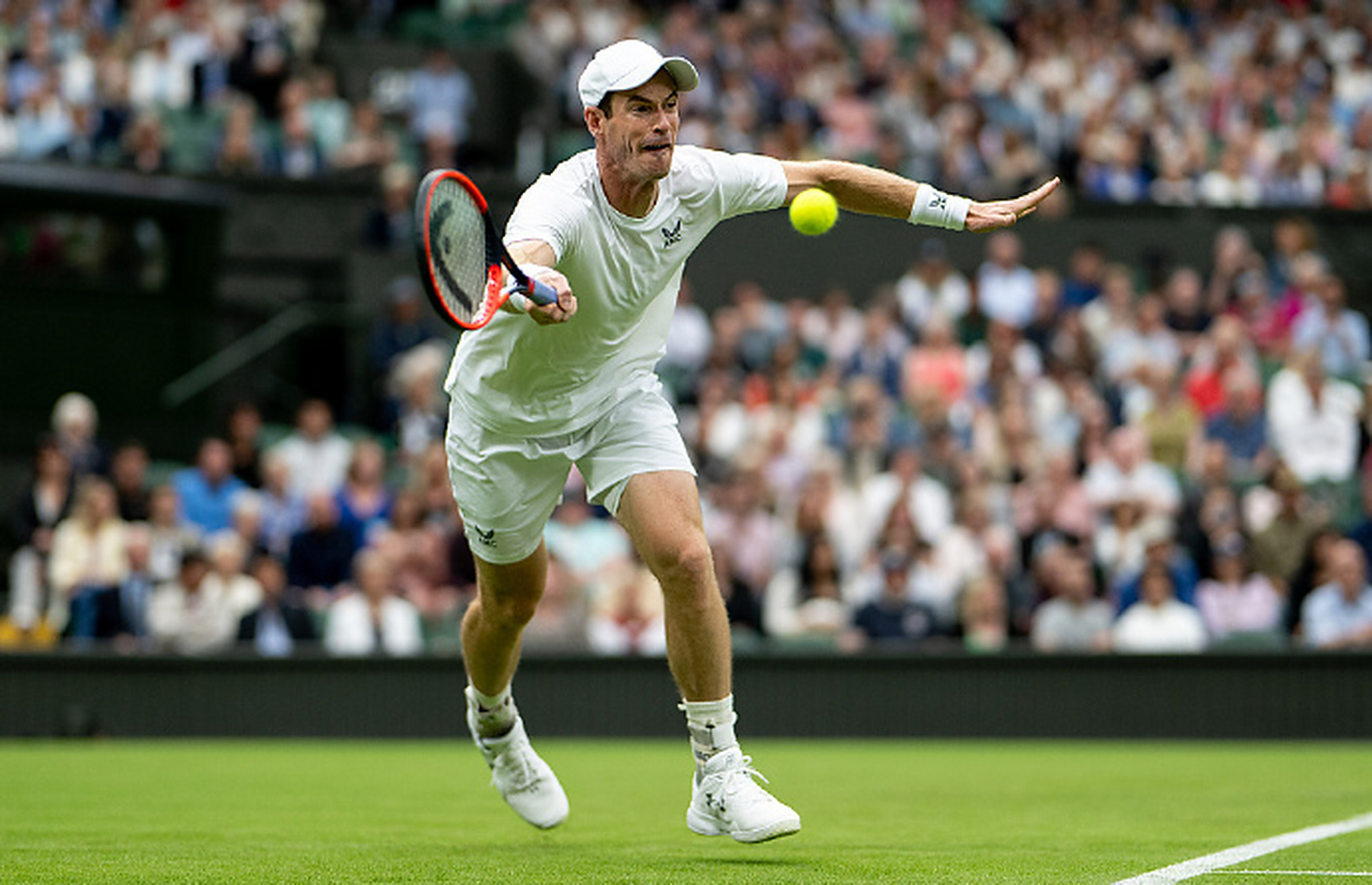 戴维斯杯翻盘ATP总决赛，穆雷惊艳四座