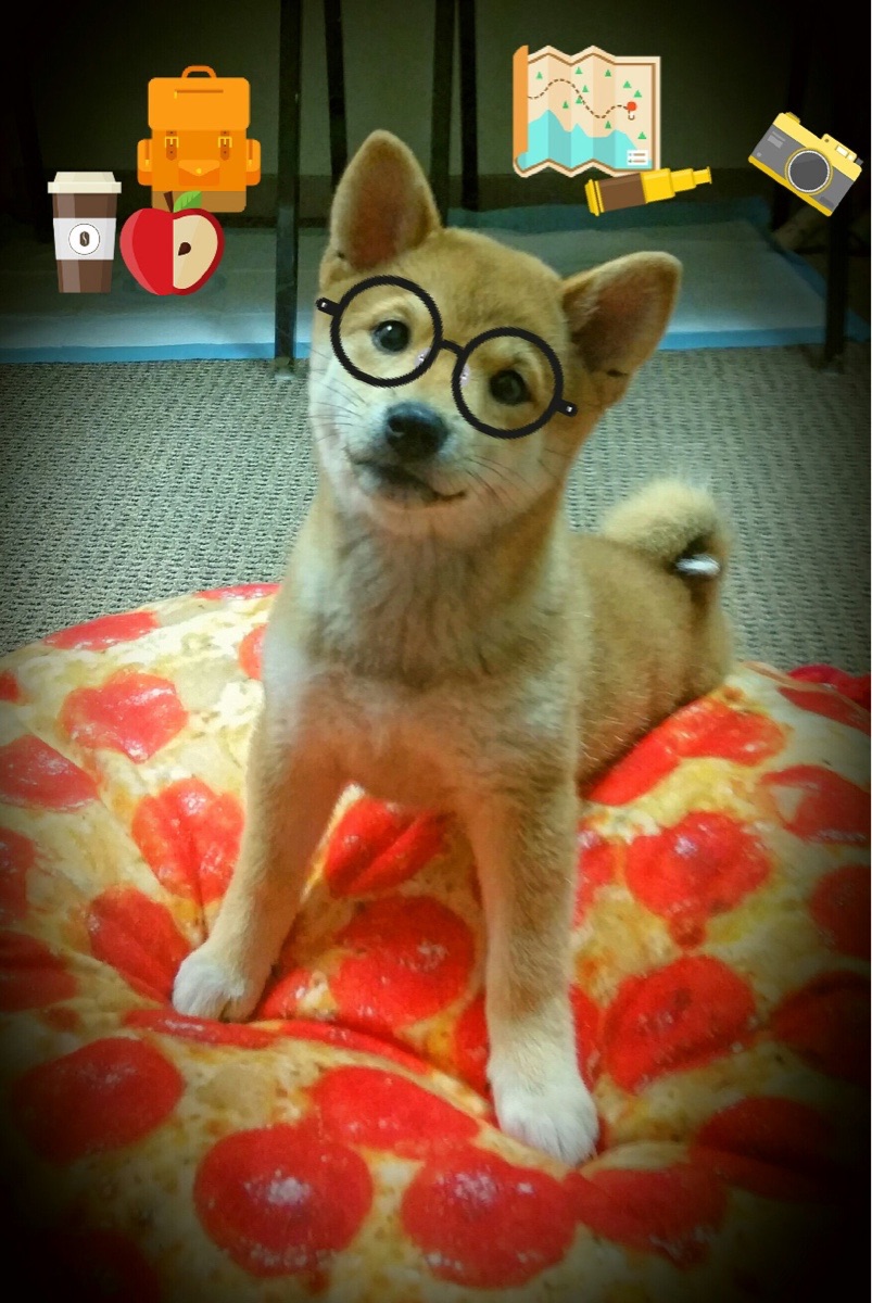 静默武器，皮亚斯特里在主场为雷诺降下黑色帷幕