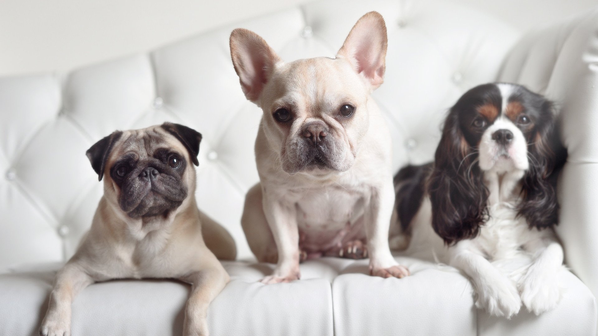 冲破终点线的足球赛，F1南非站如何引爆体坛交叉叙事