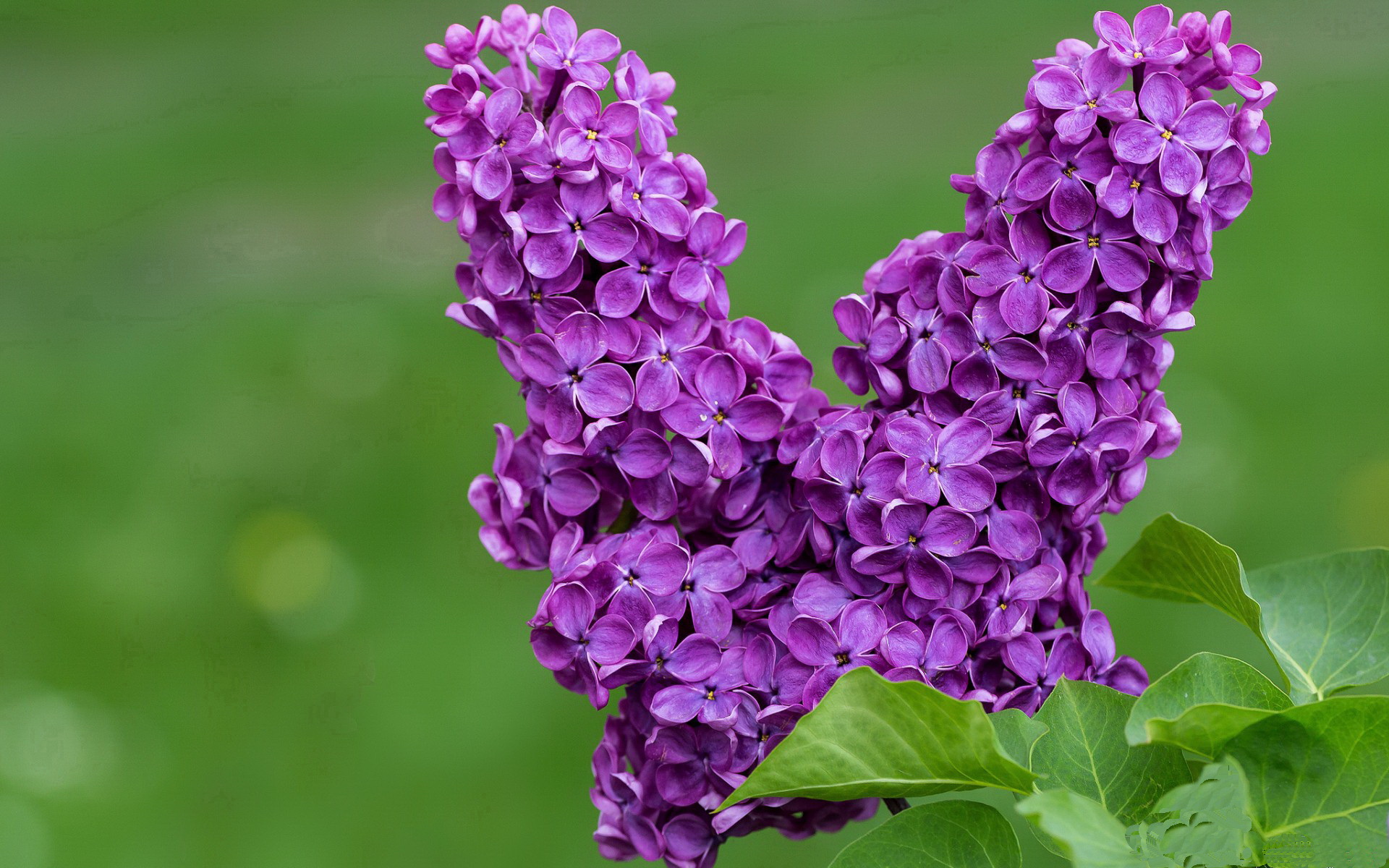 平行时空的哨声,当西甲德比之夜哈兰德改写了另一项历史