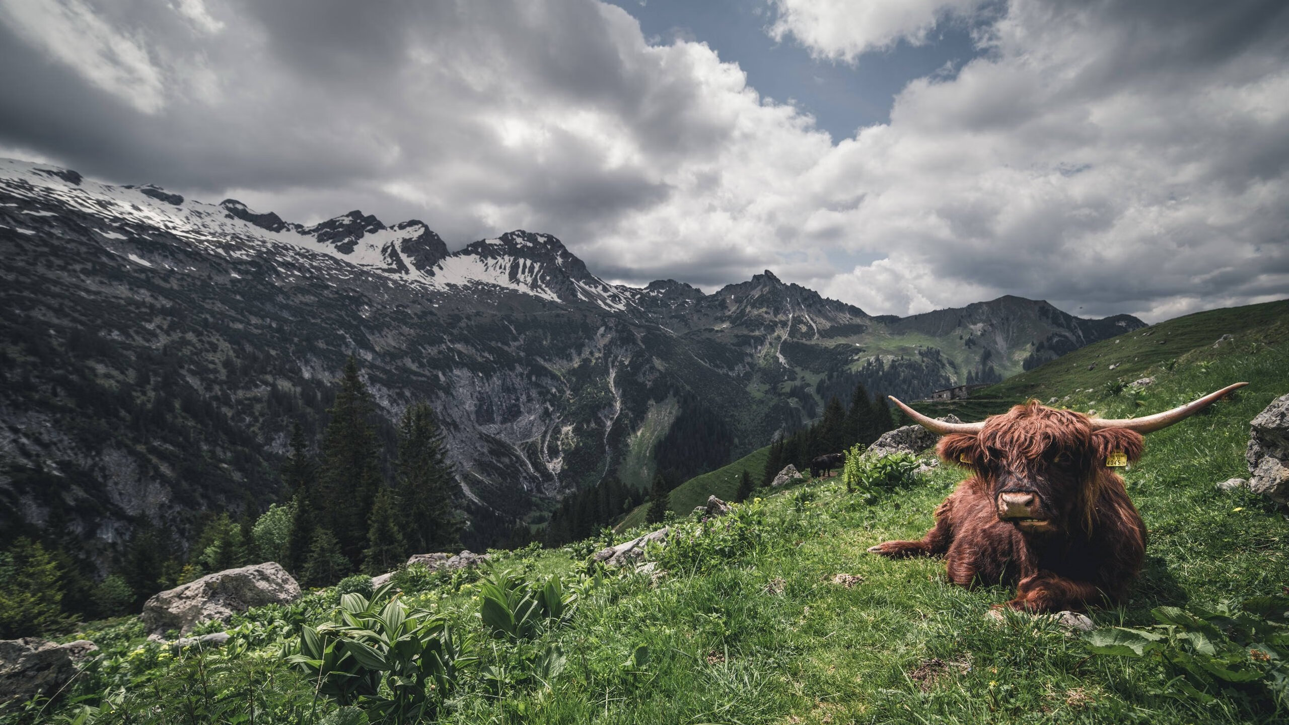 平行时空的哨声,当西甲德比之夜哈兰德改写了另一项历史