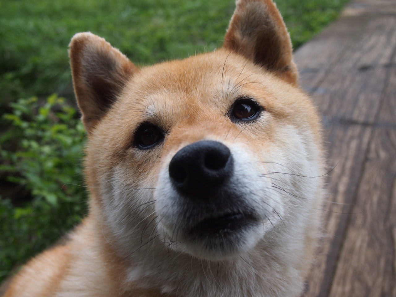 欧冠半决赛惊现跨界对决,独行侠客场稳稳战胜吉林队