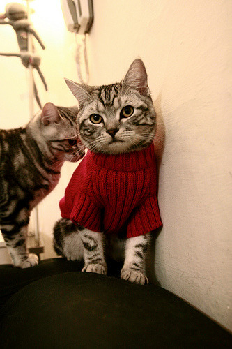 照亮奥运路的午夜闪电