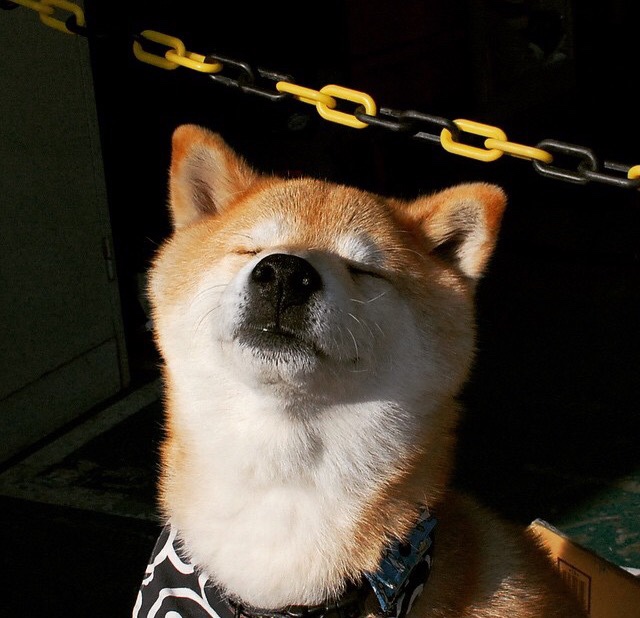 西甲国家德比,绿茵场上的伊朗收割瑞典式焦点战