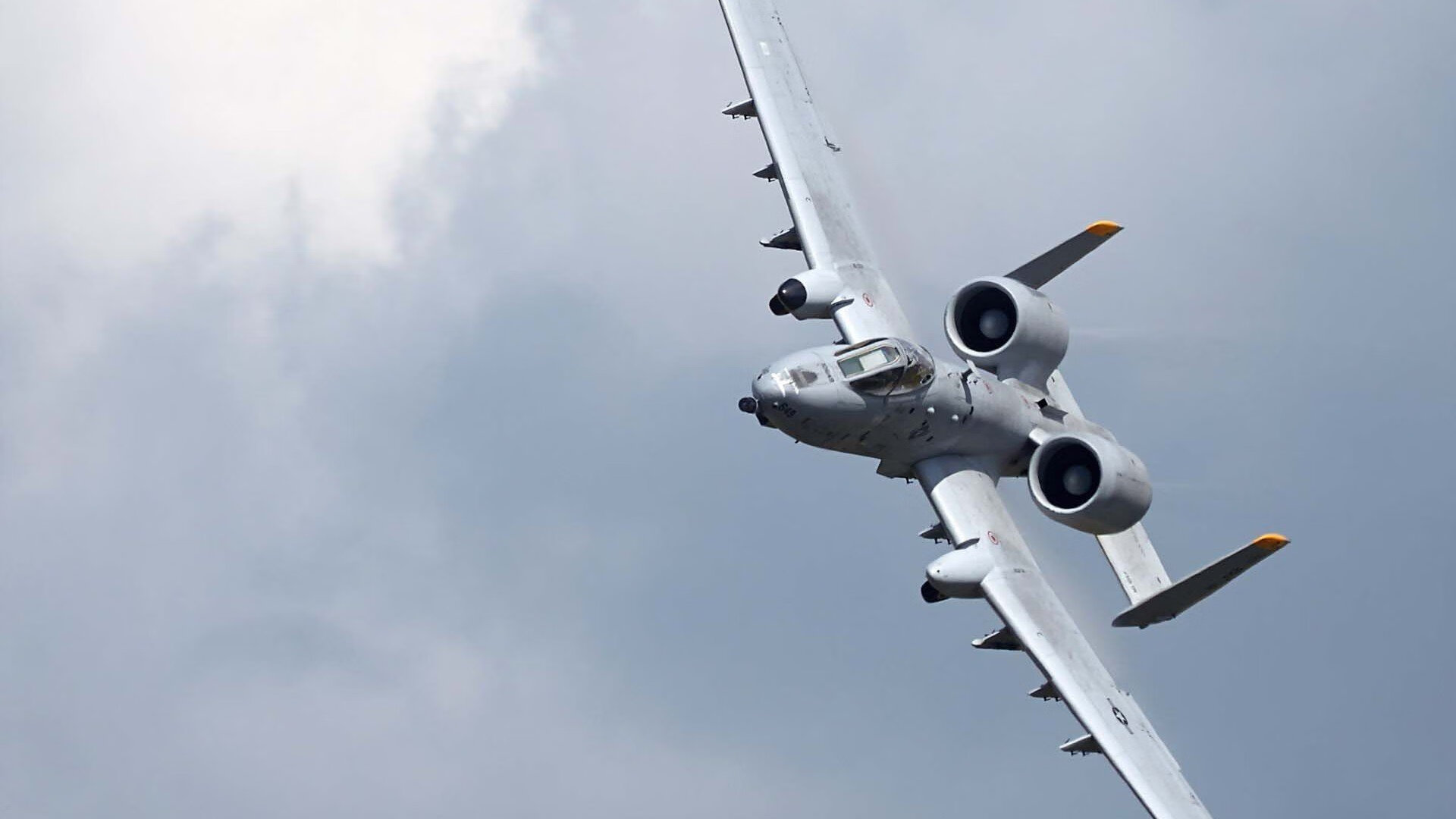 当袋鼠军团席卷文艺复兴之都,伊布如何指挥一场横跨半球的反征服