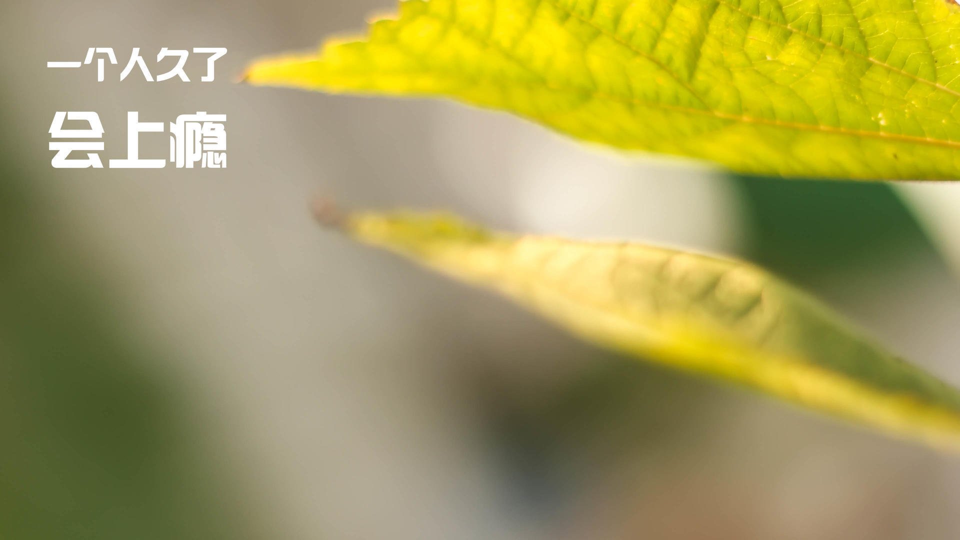 超越胜负的教科书,卢卡库如何在对阵毕尔巴鄂的炼狱中,为现代中锋重写定义