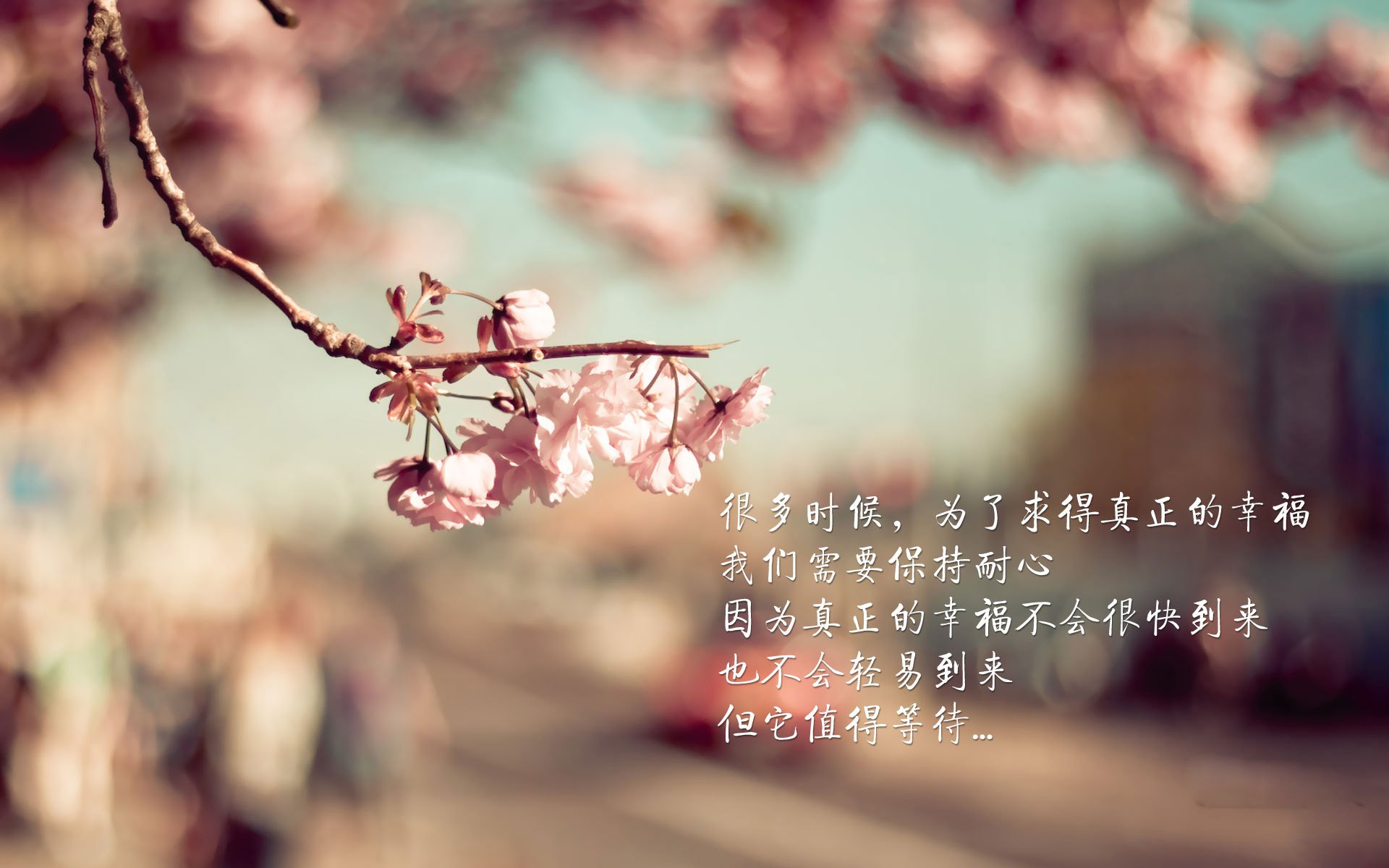 唯一的光，阿方索·戴维斯如何让2026世界杯C组之战从平庸走向传奇