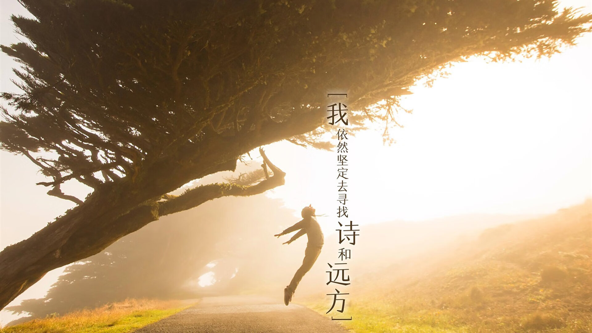 2026世界杯D组生死战，苏亚雷斯的最后一舞，如何用唯一性定义厄瓜多尔与罗马尼亚的宿命对决