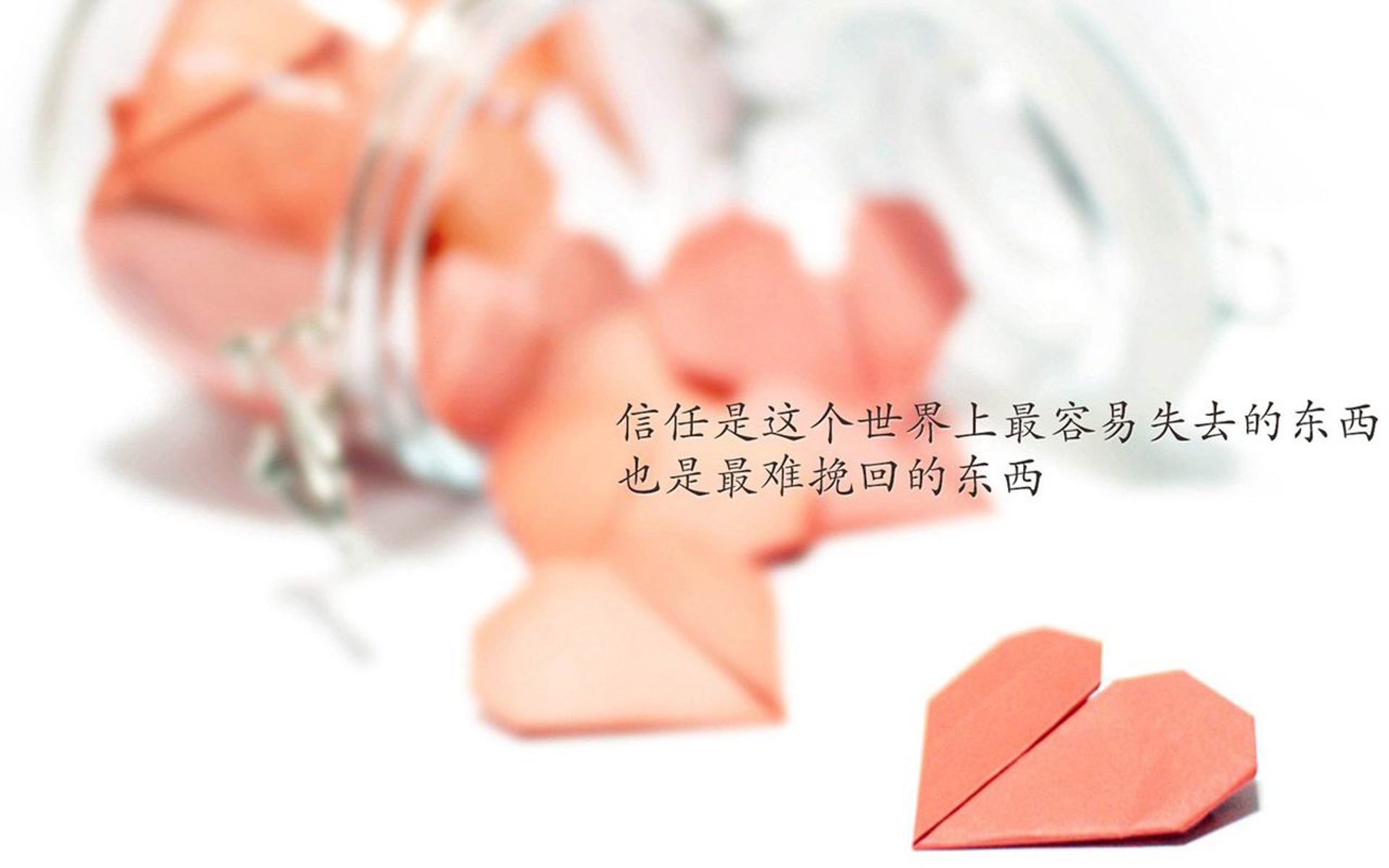 （备选）